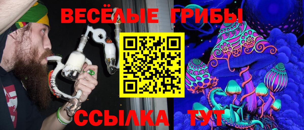 Псилоцибиновые грибы Cubensis  Вход с VPN  купить наркотик  Чернушка 